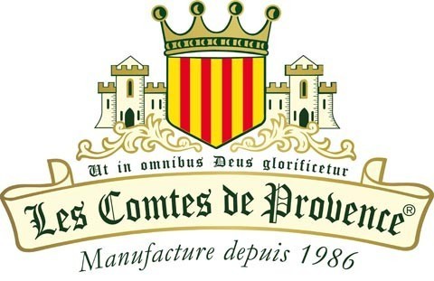 LOGO CT + PHRASE FR PNG_cut