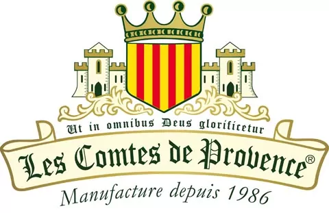 LOGO CT + PHRASE FR PNG_cut
